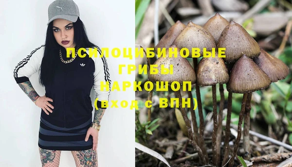 экстази Арсеньев